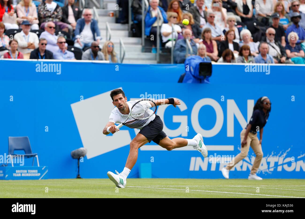 Novak Djokovic la Serbie de Gael Monfils v de la France au cours de la mens finale de l'Aegon International au Devonshire Park, Eastbourne. 01 juil 2017 Banque D'Images