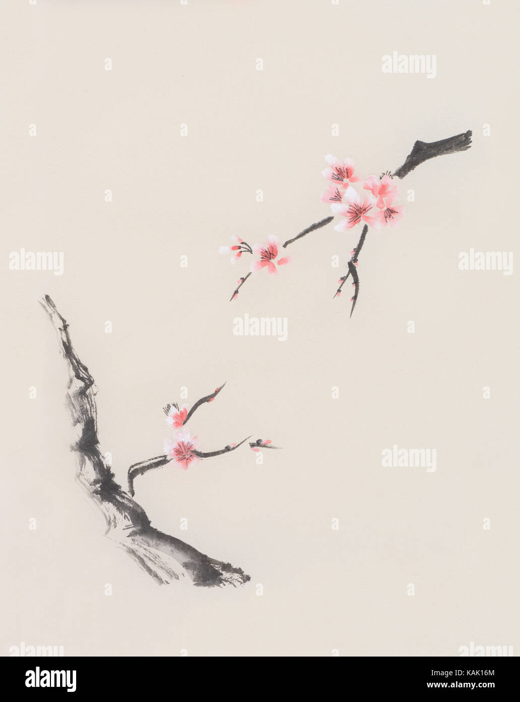 Sakura Les Branches Darbres Avec Des Fleurs Fleur De