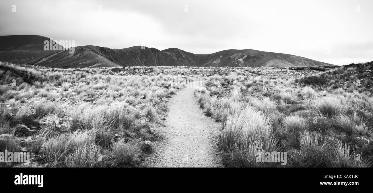 B&W : sentier menant sur une prairie parsemée de buttes moody journée dans le parc national de Tongariro (île du nord (Nouvelle-Zélande). Banque D'Images