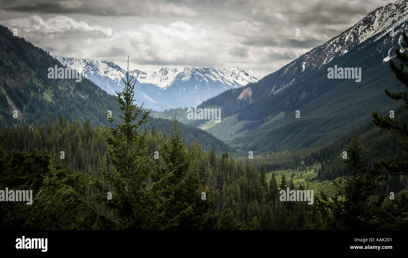 Vue depuis la vallée du ruisseau leckie vers les plages de Bendor et Dickson (south chilcotin Mountain park, British Columbia, canada). Banque D'Images