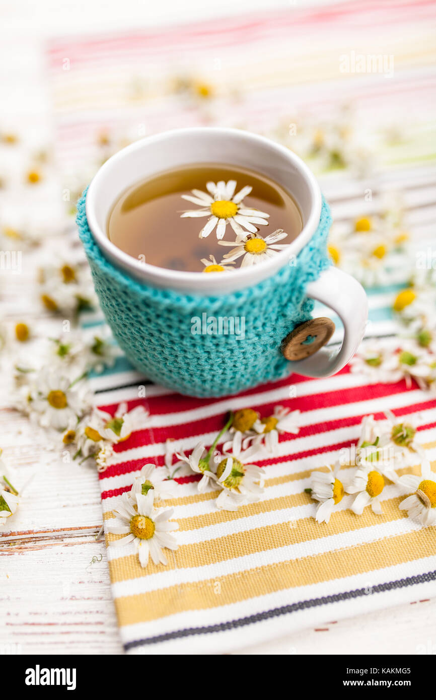 De camomille dans une tasse recouverte de laine Banque D'Images