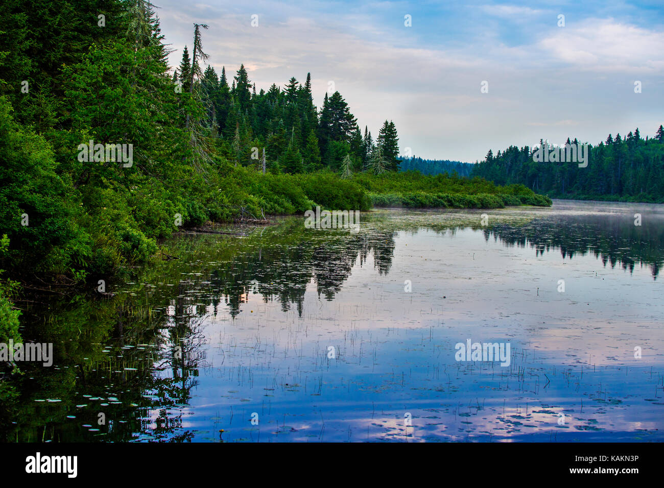 Parc national de la Mauricie en été Banque D'Images