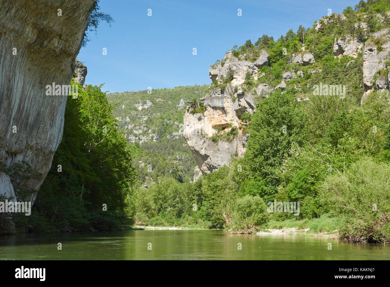 Gorges du Tarn en bateau Banque D'Images