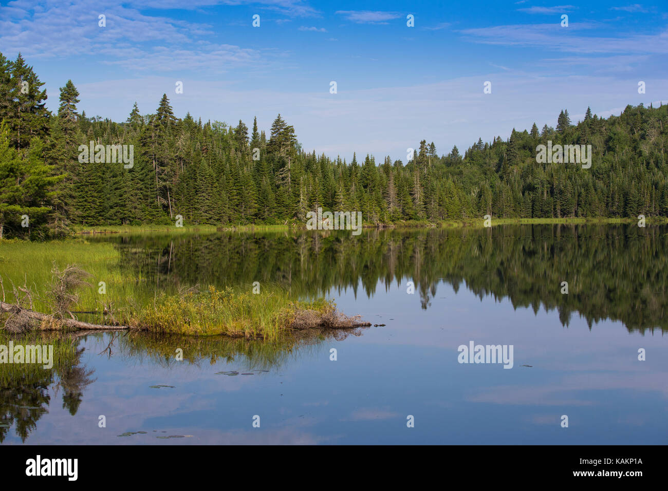 Parc national de la Mauricie en été Banque D'Images
