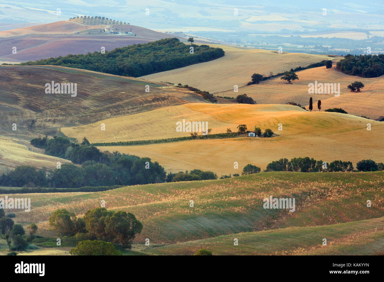Beau paysage de Toscane summer morning sunrise campagne en Italie. Banque D'Images