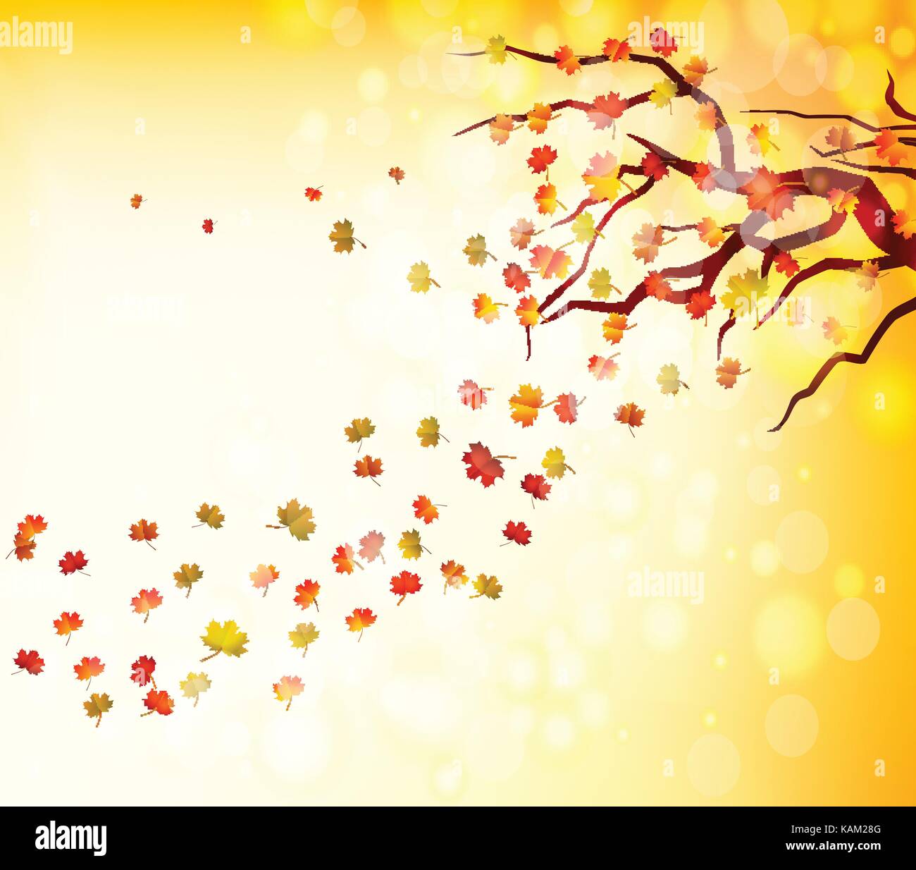 Bonjour automne illustration d'une forêt en automne avec les feuilles tomber Illustration de Vecteur
