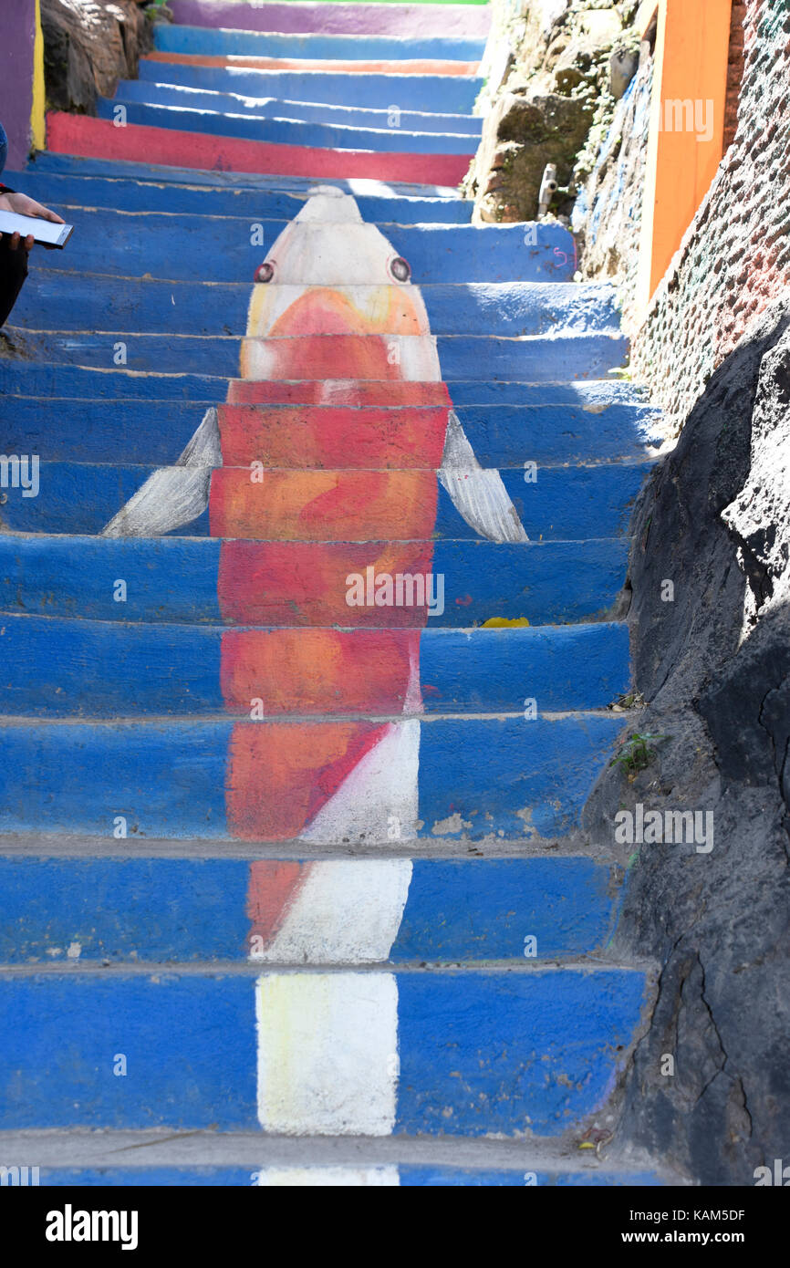 Motif requin utilisé sur l'escalier coloré au rainbow village de Semerang, Indonésie Banque D'Images