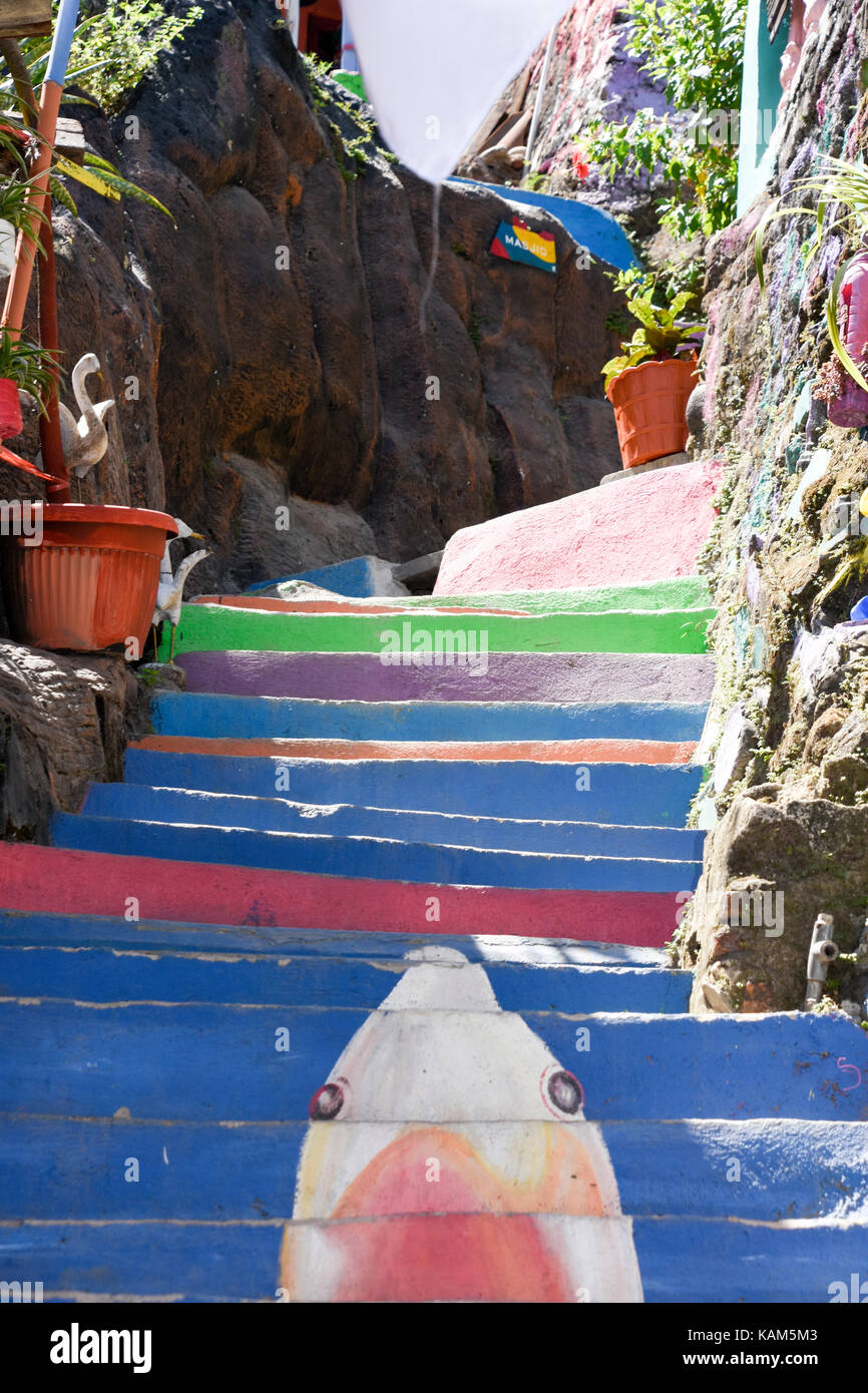 Motif requin utilisé sur l'escalier coloré au rainbow village de Semerang, Indonésie Banque D'Images