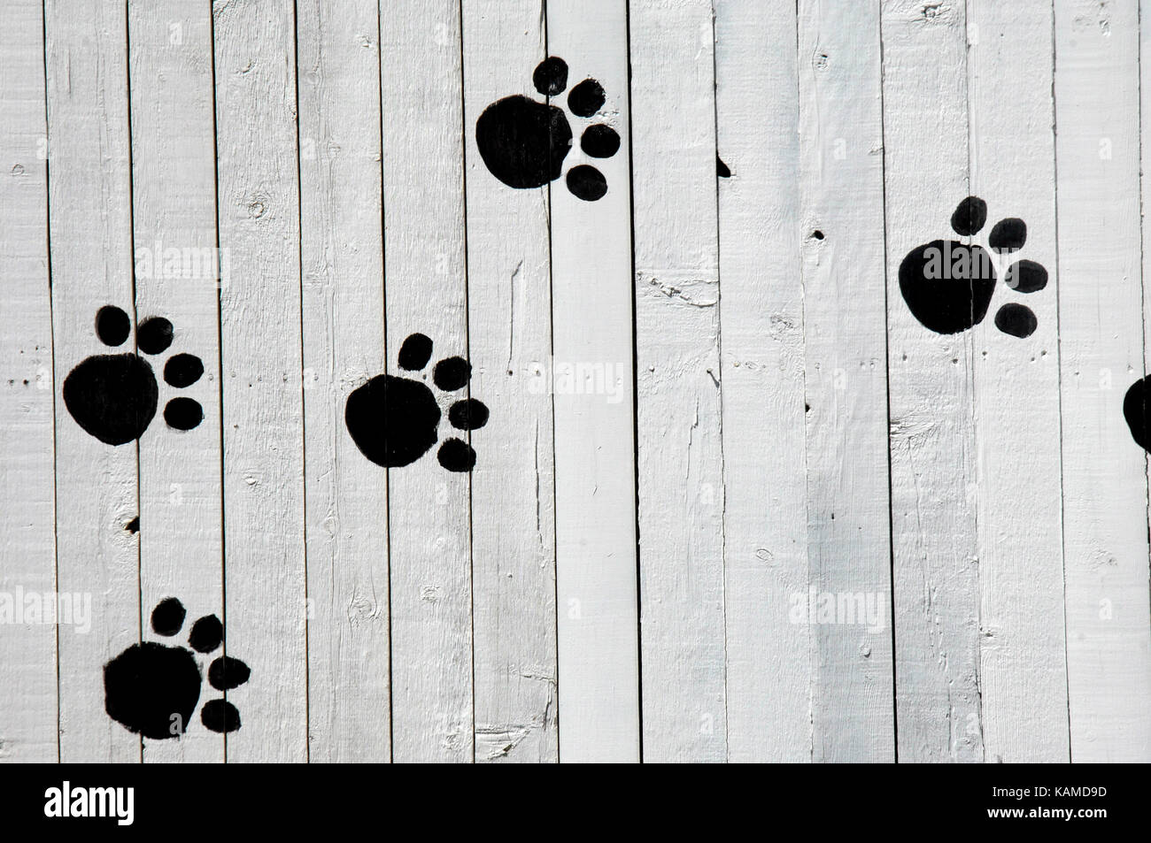 Mur en bois peint en noir a empreintes dans un cadre rustique, blanc, clôture. Banque D'Images