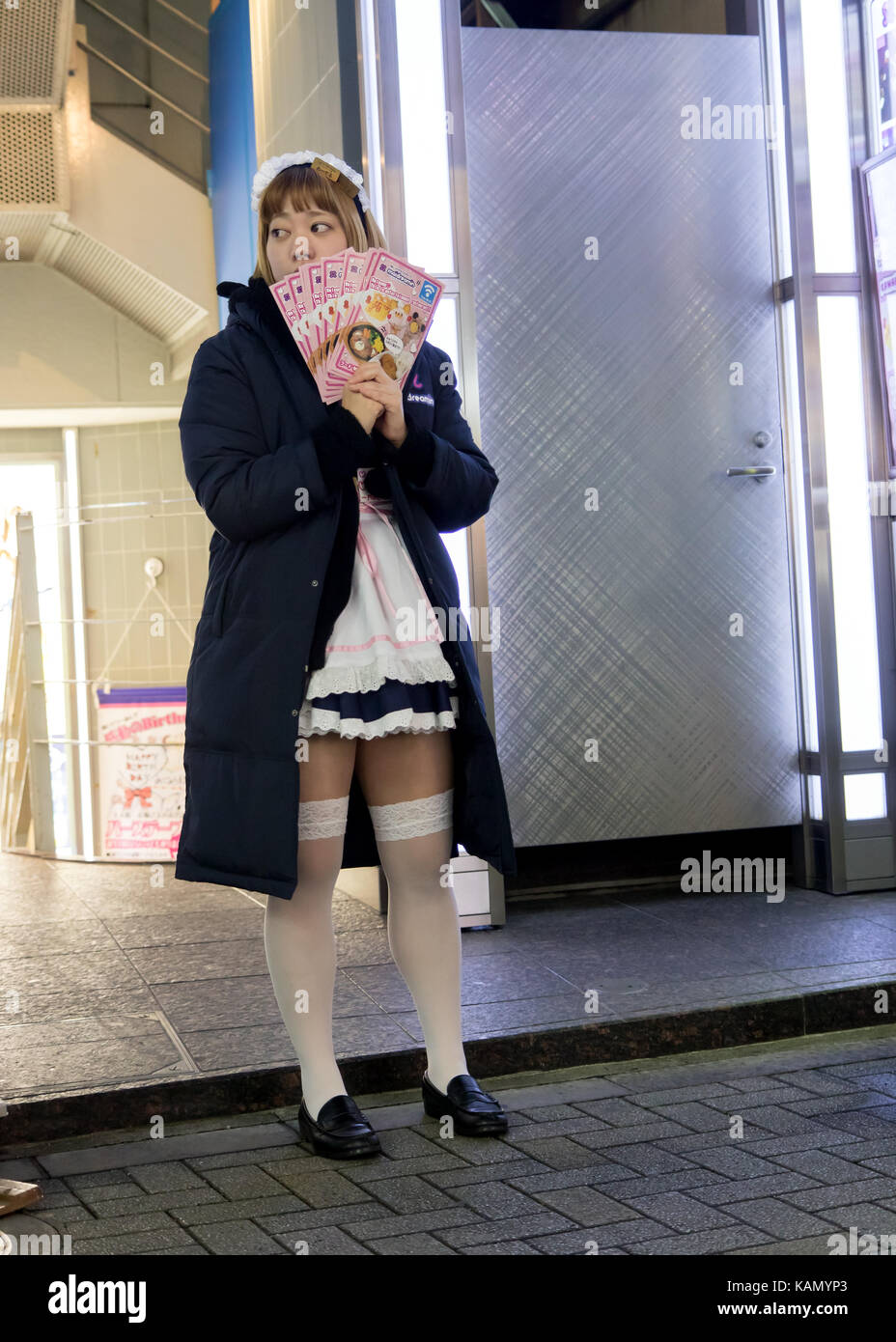 Tokyo, Japon - 22 novembre 2016, girl holding offre de restaurant sur la rue nuit à Tokyo, Japon. Banque D'Images