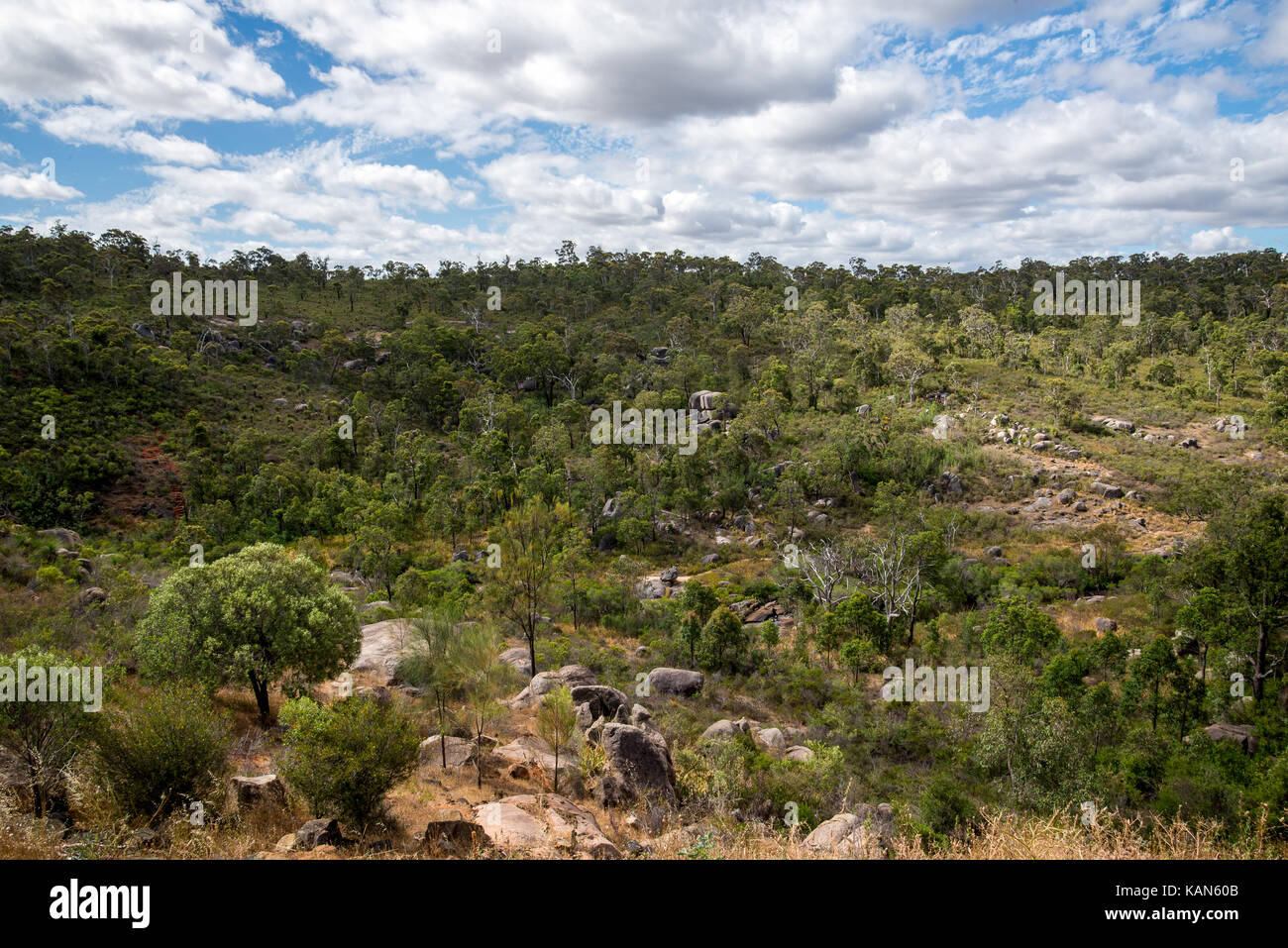 Parc national John Forrest paysage rocheux près de Perth Hills Banque D'Images