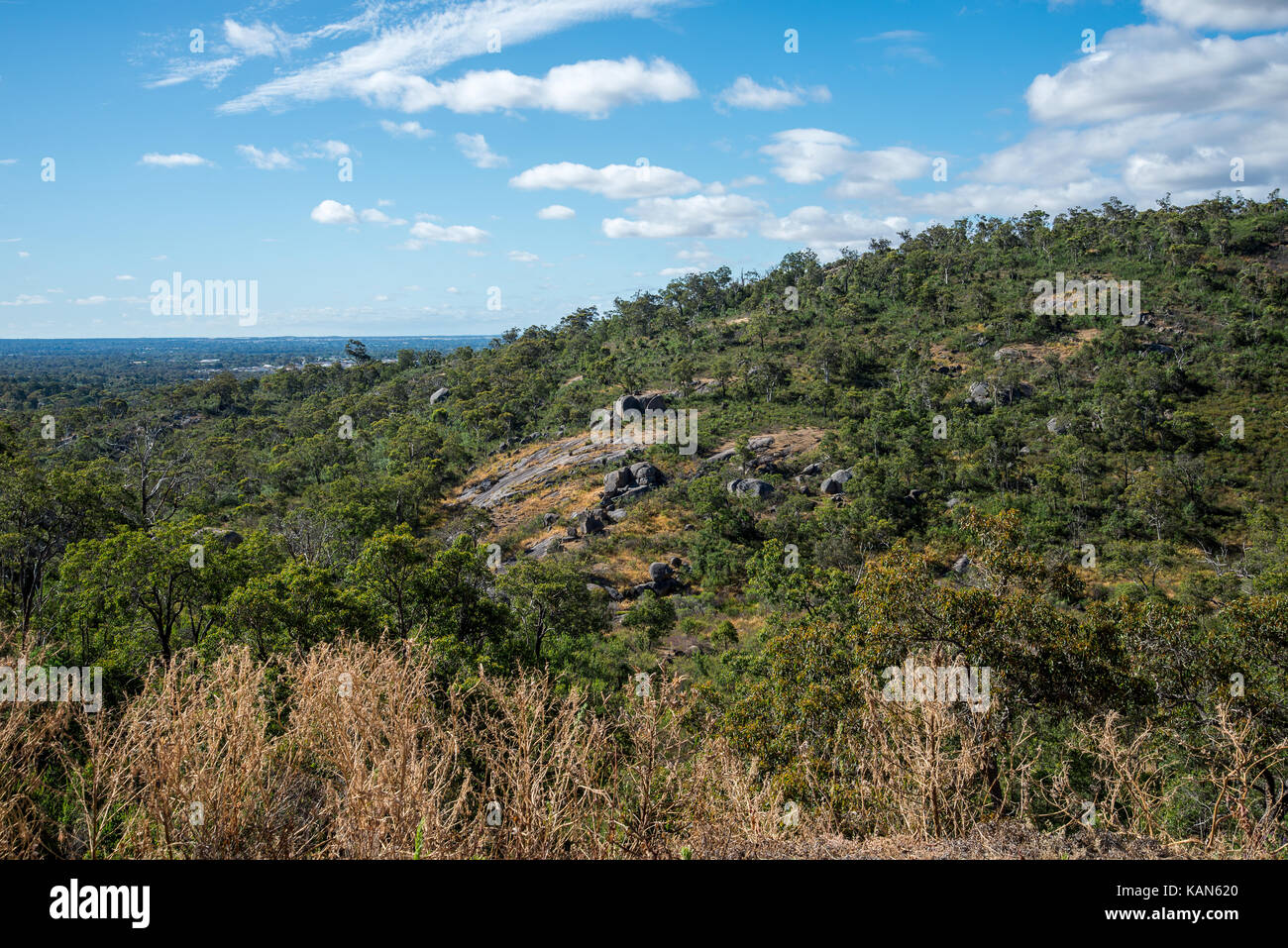 Spectaculaire paysage forestier dans le parc national John Forrest près de Perth Hills Banque D'Images