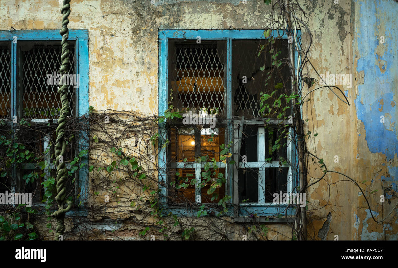 Vieux bâtiment couvert de Windows pour les plantes suspendues Banque D'Images