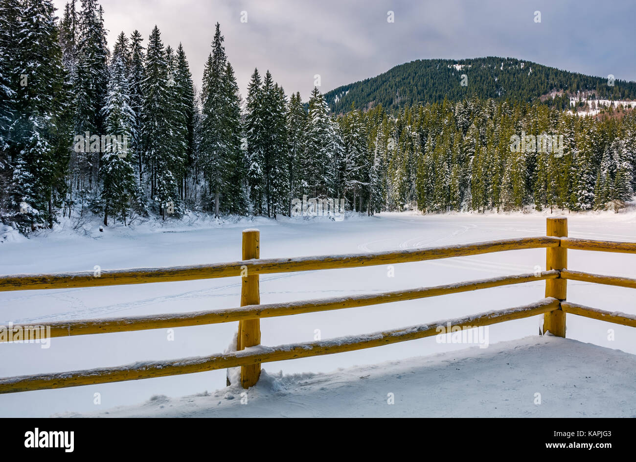 Jetée en bois sur le lac de la forêt en hiver. Beaux paysages matin dans la forêt d'épinettes Banque D'Images