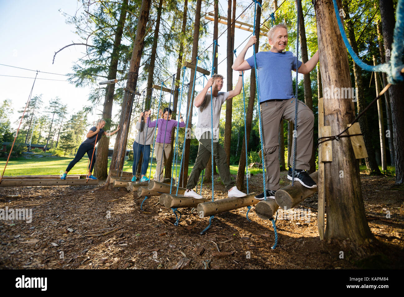 Collaborateurs crossing swinging sciage en forêt Banque D'Images