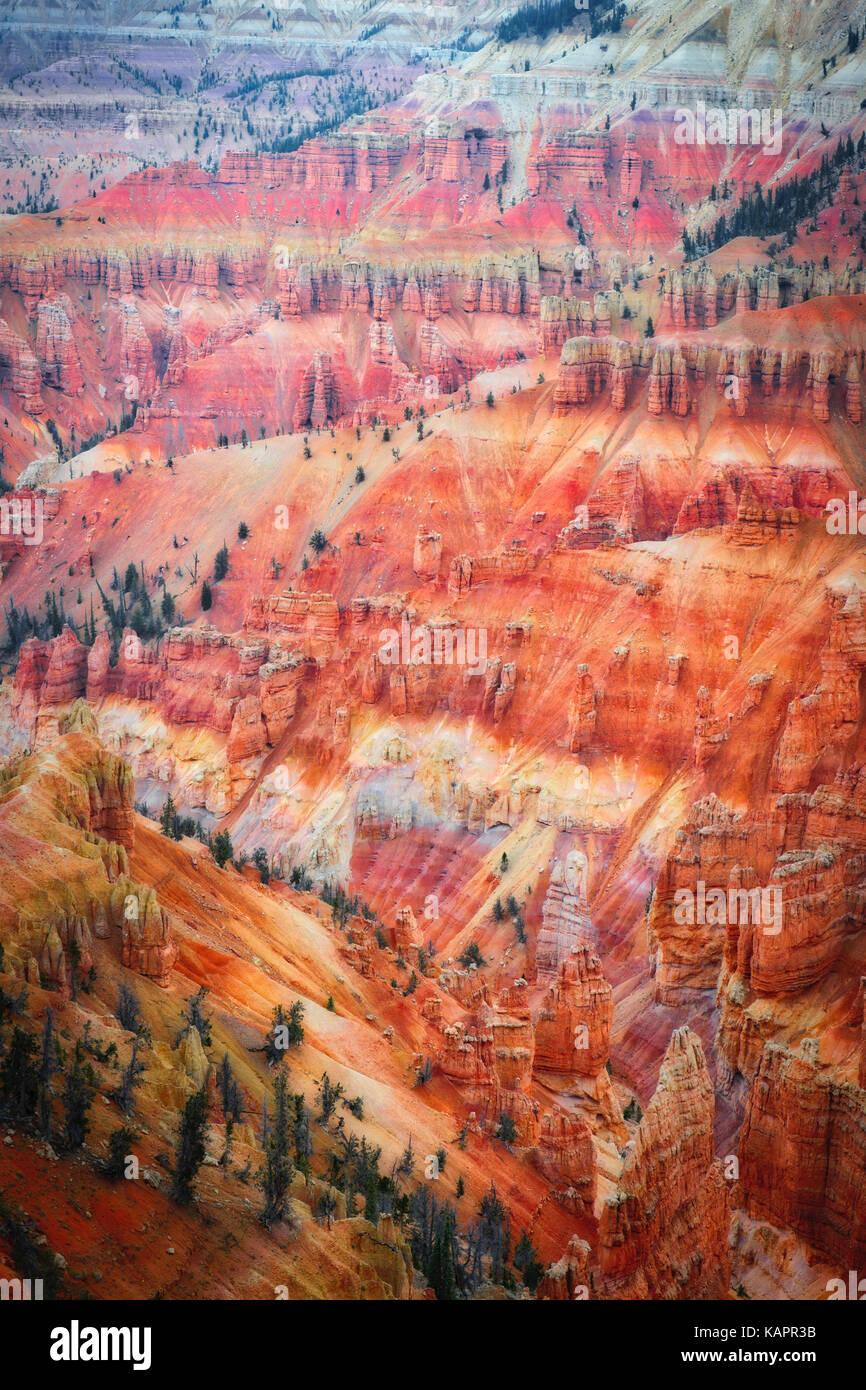 Les oxydes de fer et magnésium créer ces superbes couleurs rouge et violet entre l'amphithéâtre hoodoo dans Utah's Cedar Breaks National Monument. Banque D'Images