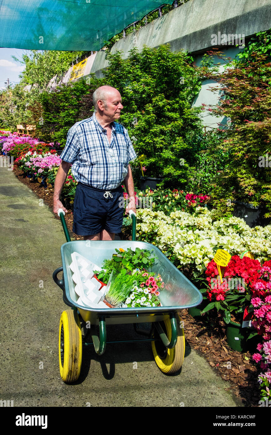 Personnes âgées Senior man pushing wheelbarrow comme il sélectionne les plantes en jardinerie,achats,usines d'achat d'PAO Banque D'Images