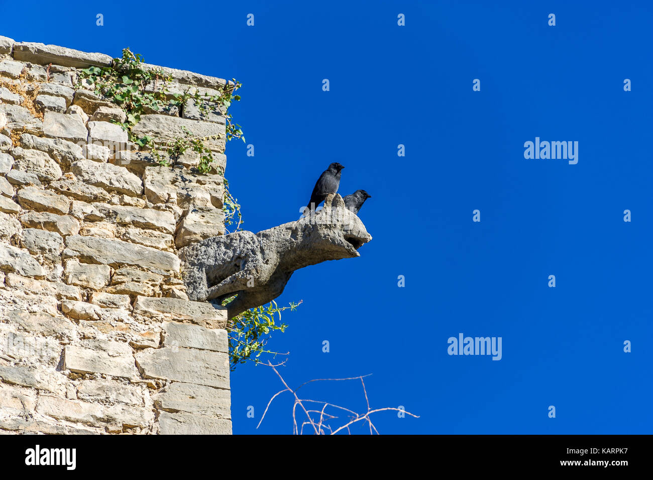 CORRENS, PROVENCE VERTE, VAR 83, PACA FRANCE Banque D'Images