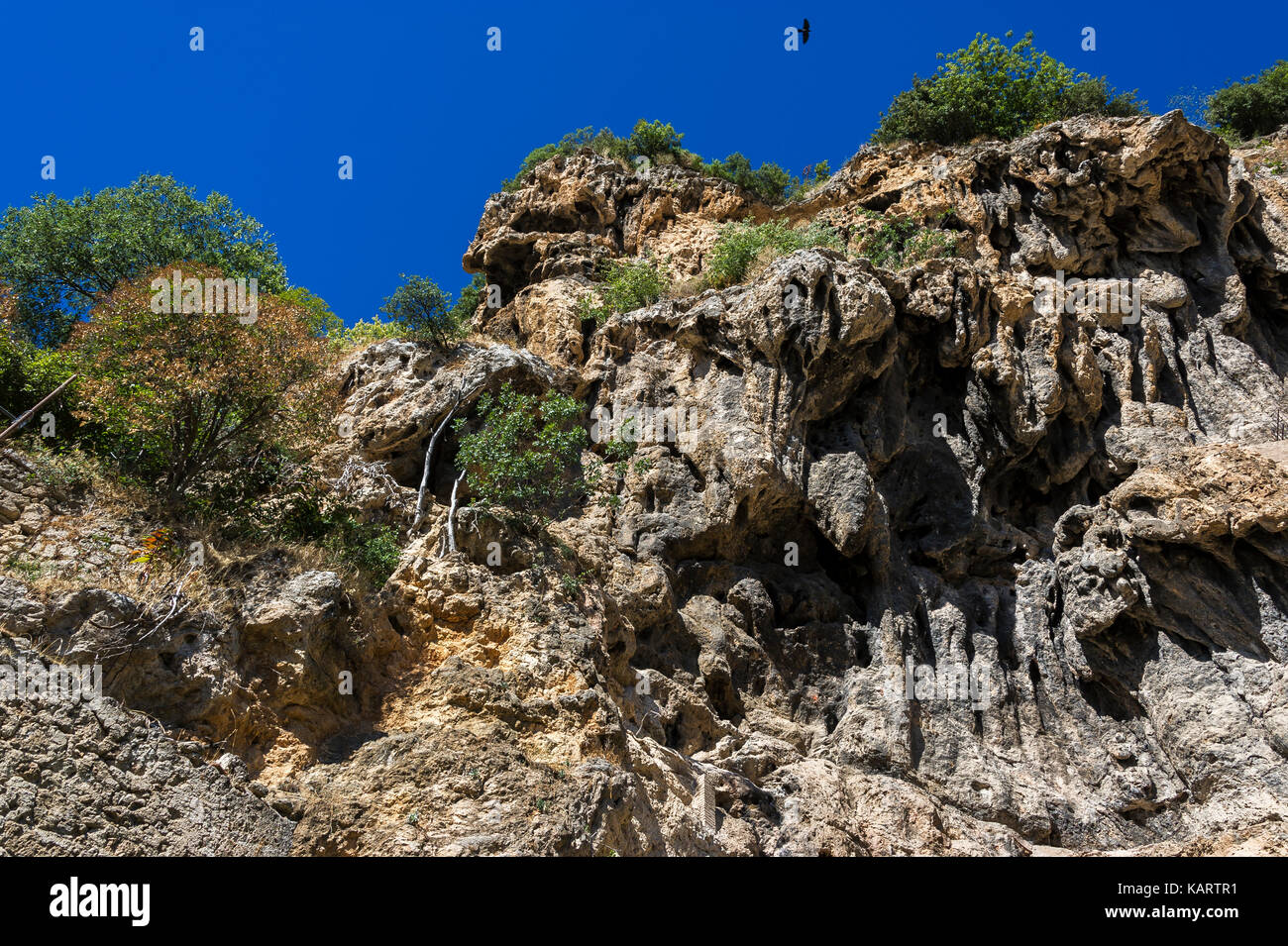 COTIGNAC, PROVENCE VERTE, VAR 83, PACA FRANCE Banque D'Images