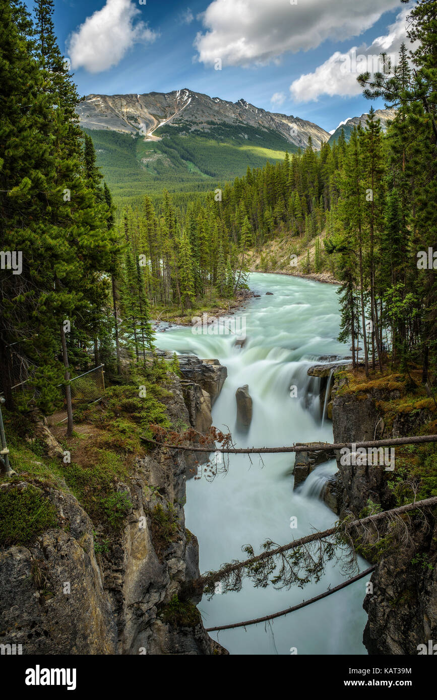 La sunwapta falls dans le parc national de Jasper, Canada. l'eau provient du glacier Athabasca. longue exposition. Banque D'Images