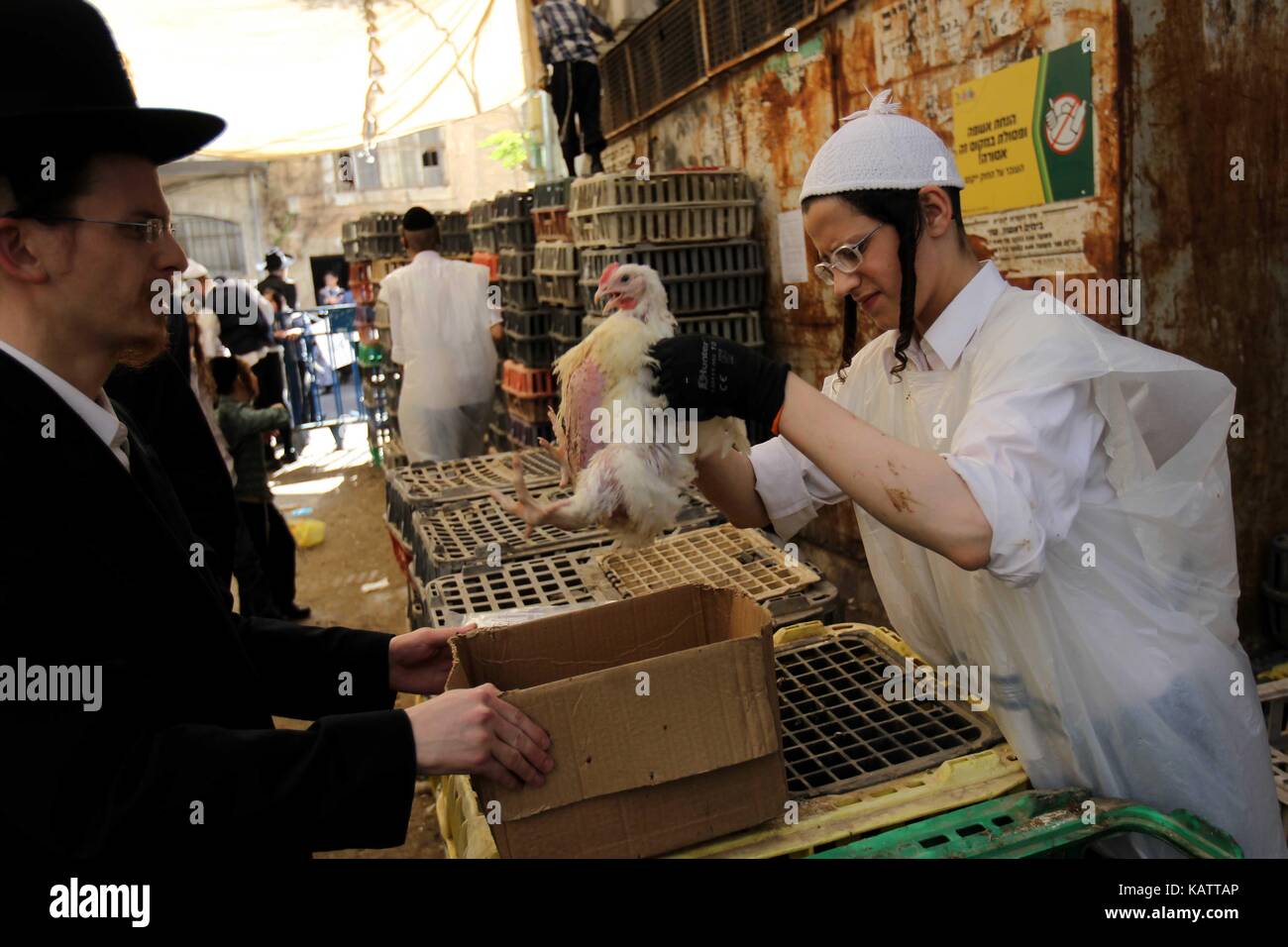 Jérusalem. 27 sep, 2017. Un des juifs ultra-orthodoxes achète poulet pour la cérémonie traditionnelle kaparot à Jérusalem, sur sept. 27, 2017. Il est de coutume d'effectuer les kaparot en préparation de la cérémonie de Yom Kippour, le jour du grand pardon juif et le jour le plus saint du calendrier juif. crédit : muammar awad/Xinhua/Alamy live news Banque D'Images