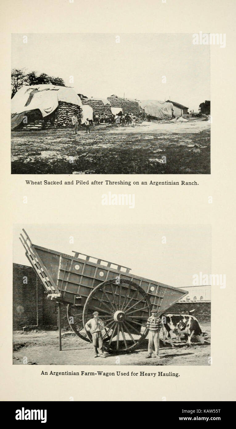 À la Plata et à l'arrière de la plaque (31) (6002860298) Banque D'Images