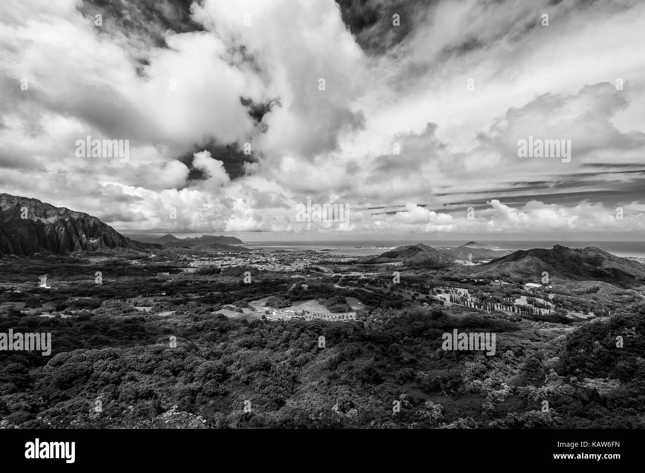 Vue panoramique de la nu'uanu pali sur l'île Oahu, Hawaii Banque D'Images