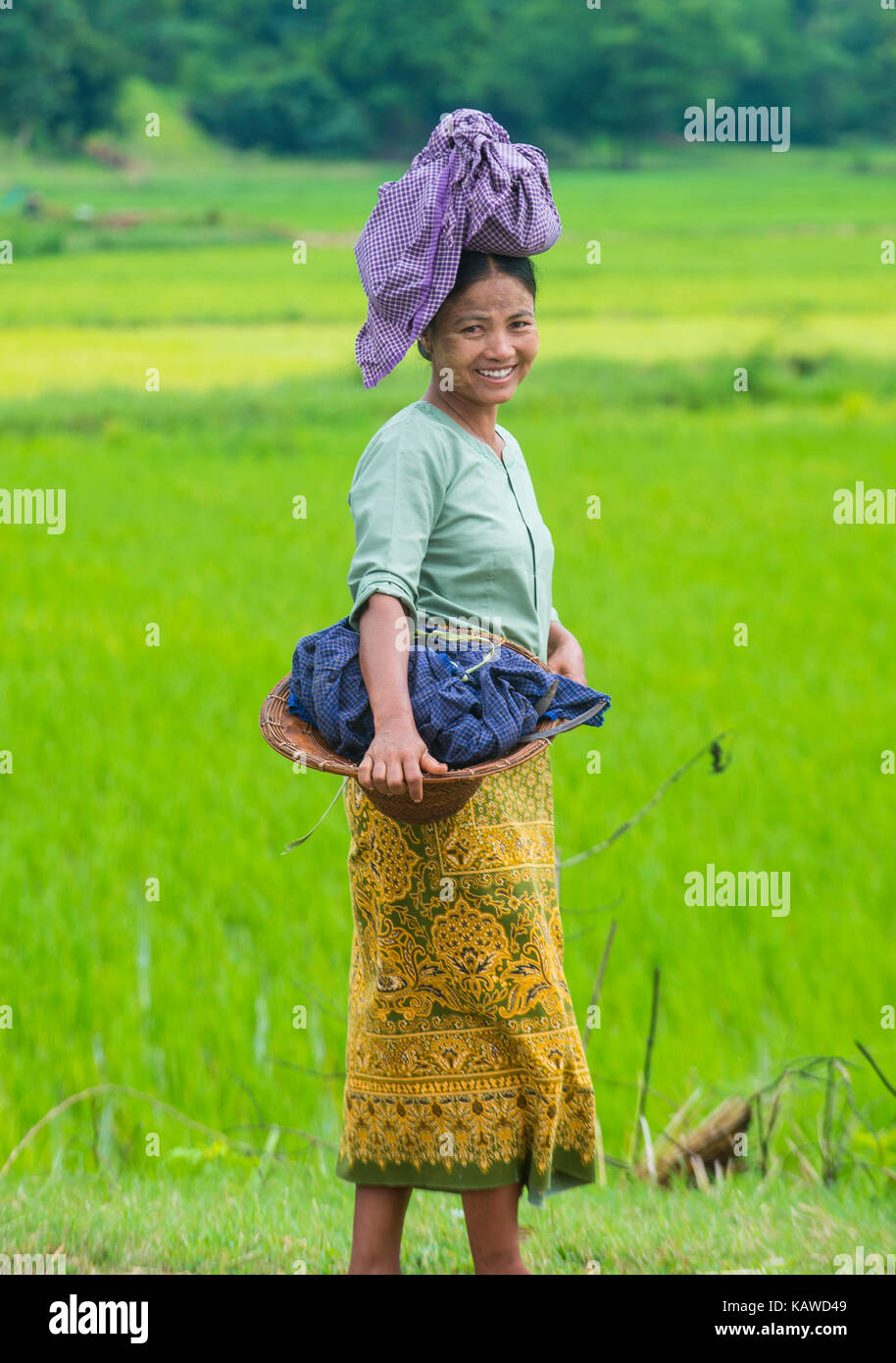 Portrait d'agriculteur birmans travaillant dans un champ de riz dans l'Etat Shan Myanmar Banque D'Images