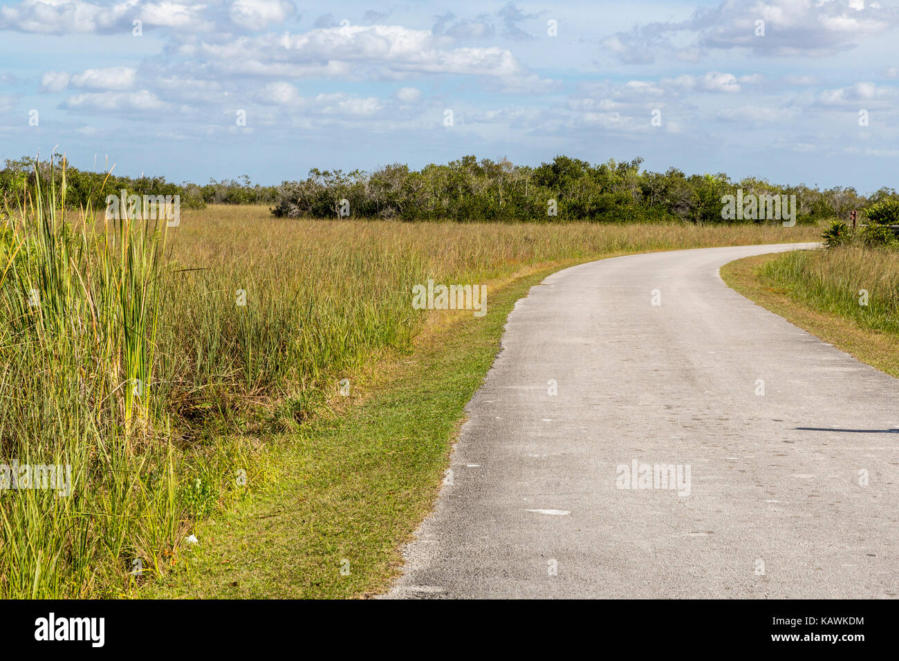 Le Parc National des Everglades, en Floride. Tramway Shark Valley Road. Banque D'Images