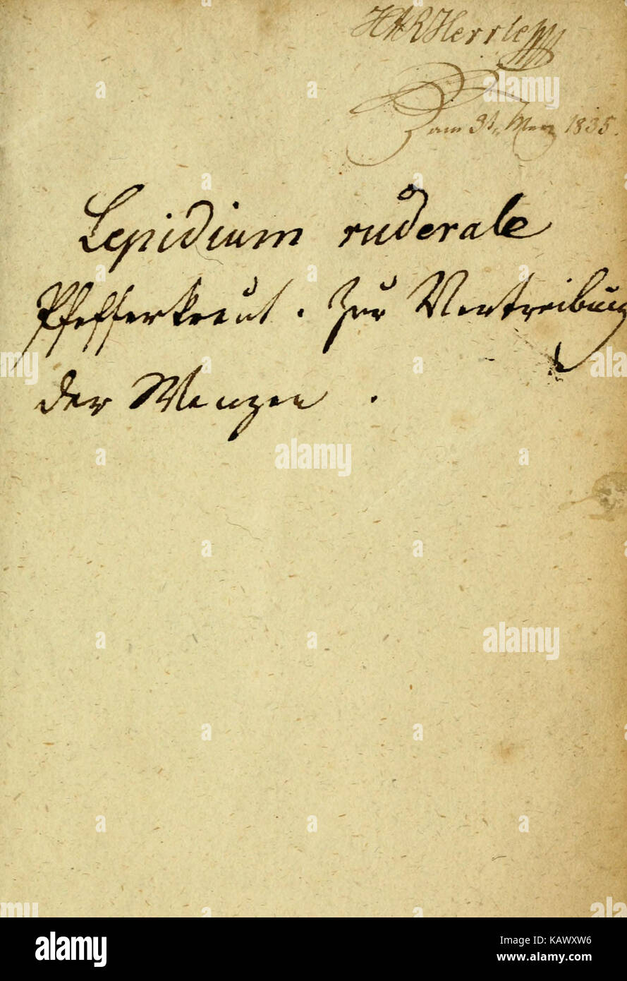 'über den Tastsinn der Schlangen' est un travail scientifique axé sur le sens du toucher chez les serpents. L'étude examine comment les serpents utilisent leurs capacités tactiles pour la navigation, la chasse et l'interaction avec leur environnement. Banque D'Images