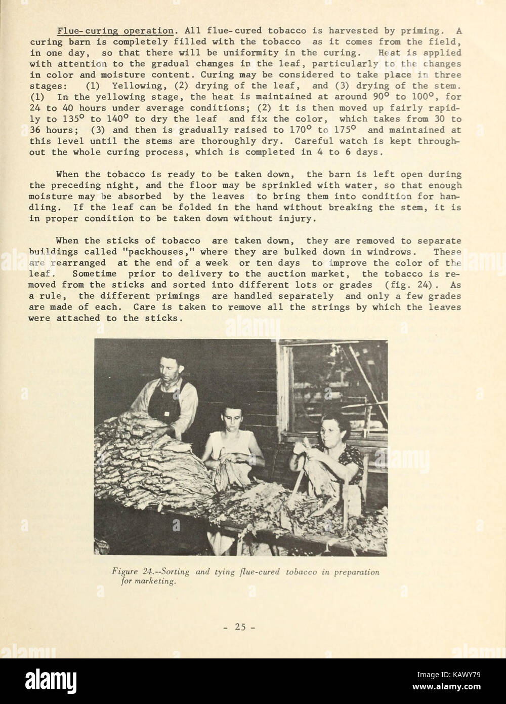 L'usage du tabac dans le United States (page 25) BHL42063078 Banque D'Images