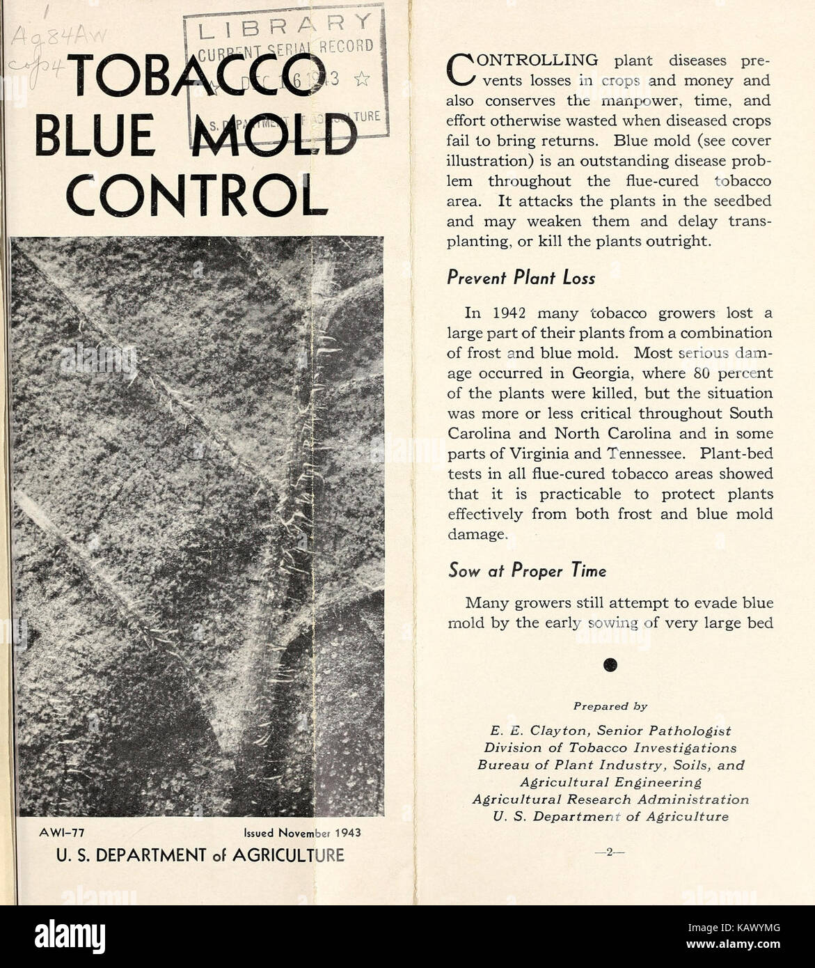 Le contrôle de la moisissure bleue BHL42004087 Banque D'Images
