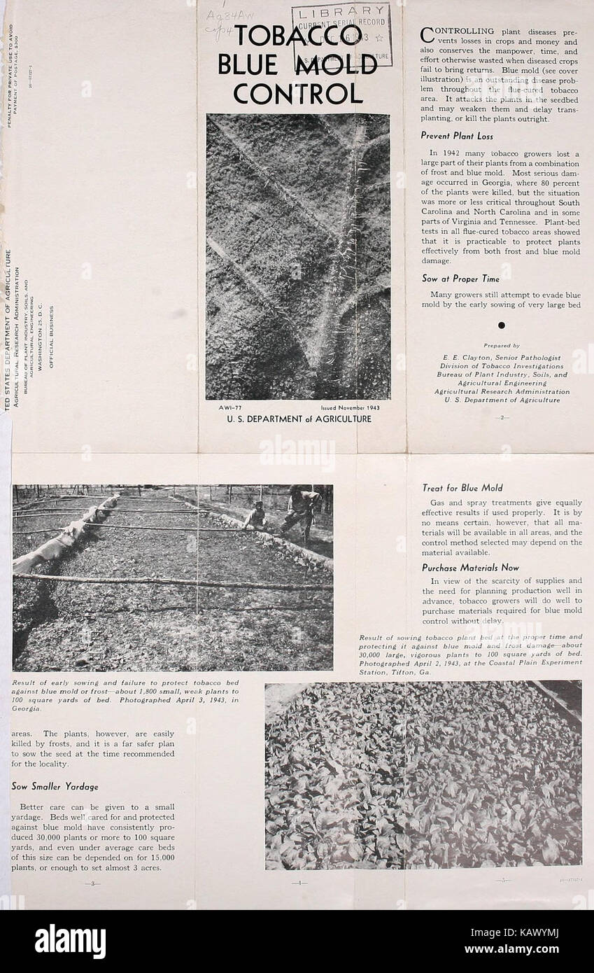 Le contrôle de la moisissure bleue bhl42004089 Banque D'Images
