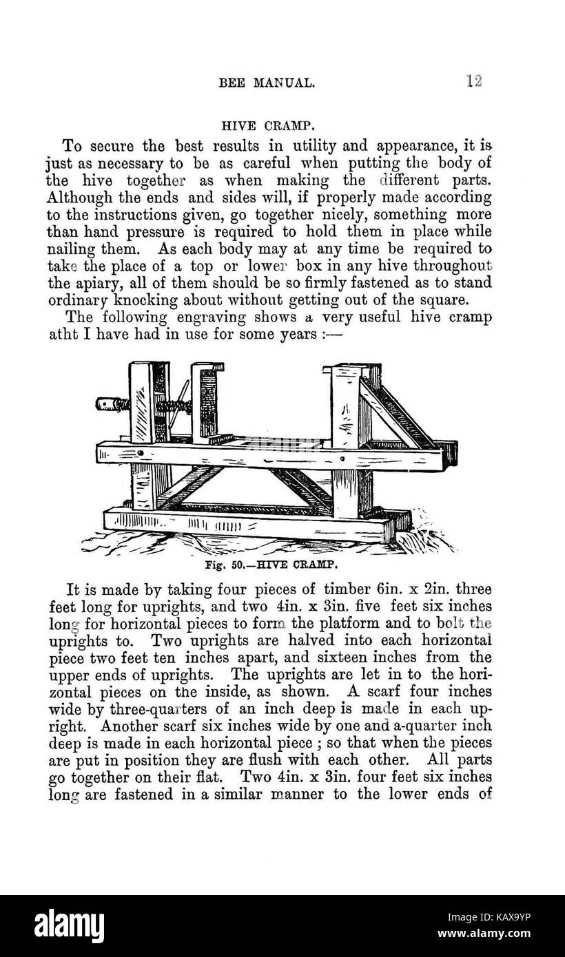 L'Australasian illustré manuel d'abeilles et l'apiculture moderne guide complet de la culture dans l'hémisphère sud BHL38562806 Banque D'Images