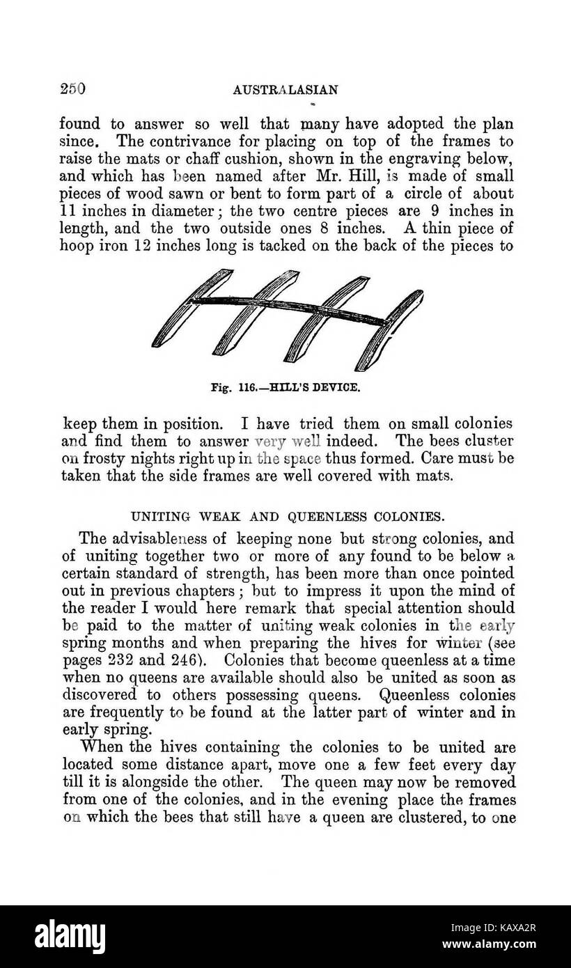 L'Australasian illustré manuel d'abeilles et l'apiculture moderne guide complet de la culture dans l'hémisphère sud BHL38562931 Banque D'Images