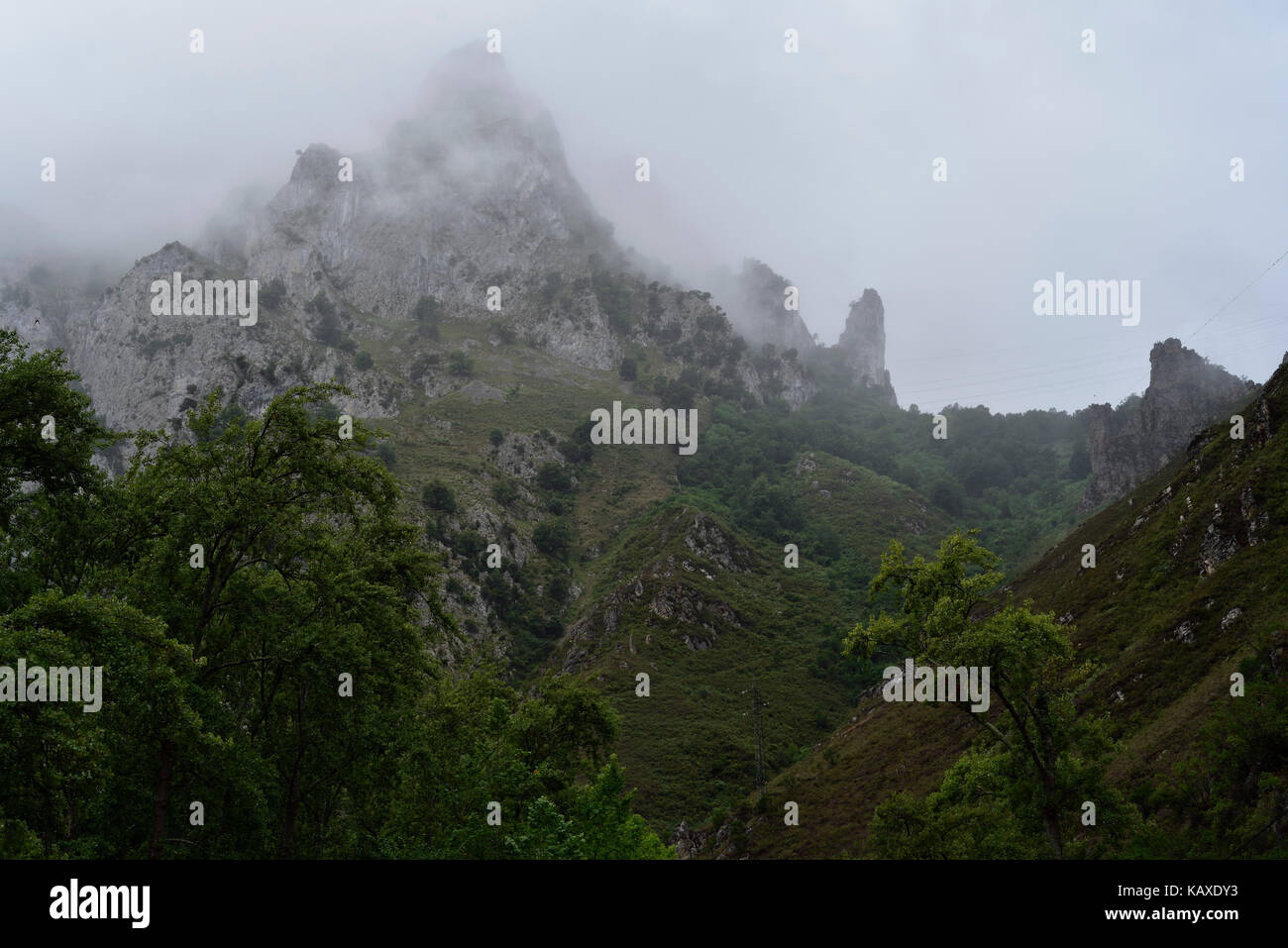 Brume basse couvrant les sommets de la Hermida gorge entre les volets et Potes, Cantabrie, dans le Nord de l'Espagne. Il borde le parc national Picos de Europa. Banque D'Images