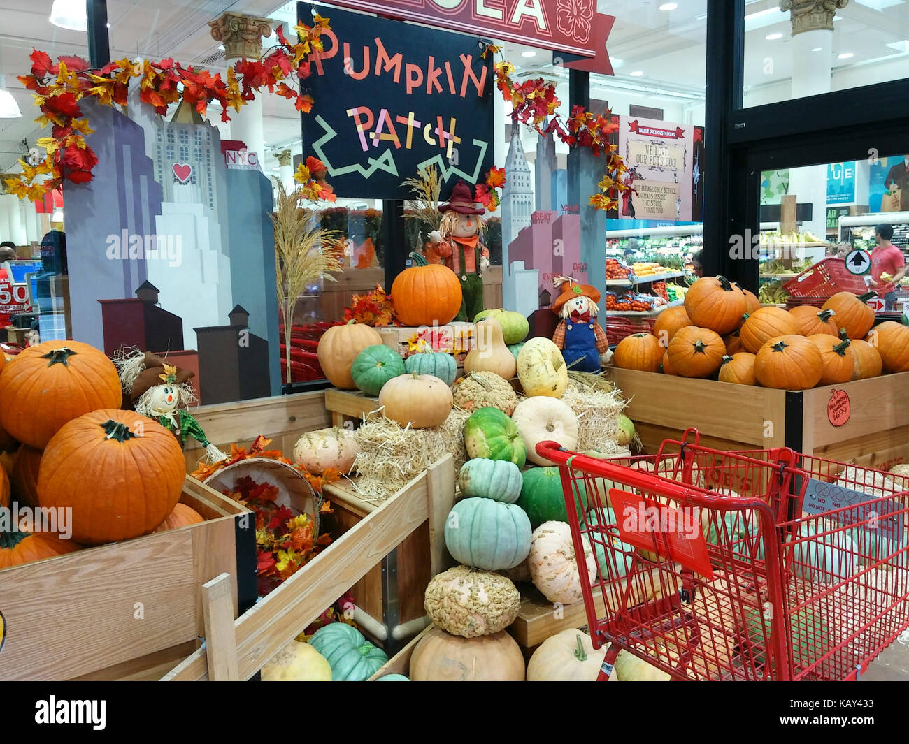 Affichage de citrouille dans un supermarché Trader Joe's à New York le dimanche 17 septembre, 2017. Les supermarchés, épiceries et les fabricants d'aliments ont adapté jusqu'à l'assaut des saisonniers pumpkin obsédé consommateurs. (© richard b. levine) Banque D'Images