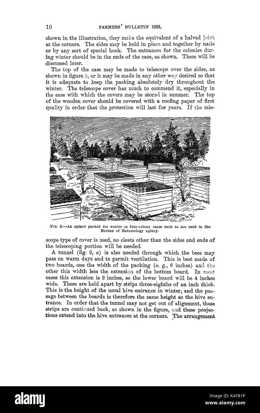 La préparation des abeilles pour l'Hivernage en plein air (page 10) BHL42460178 Banque D'Images