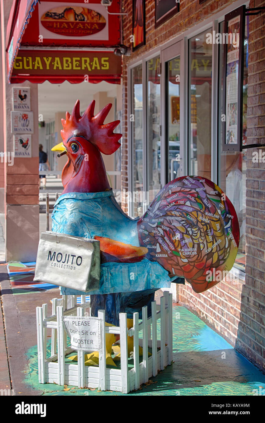 Miami, en Floride. Coq en face de l'entrée du magasin sur la Calle Ocho, Little Havana. Banque D'Images
