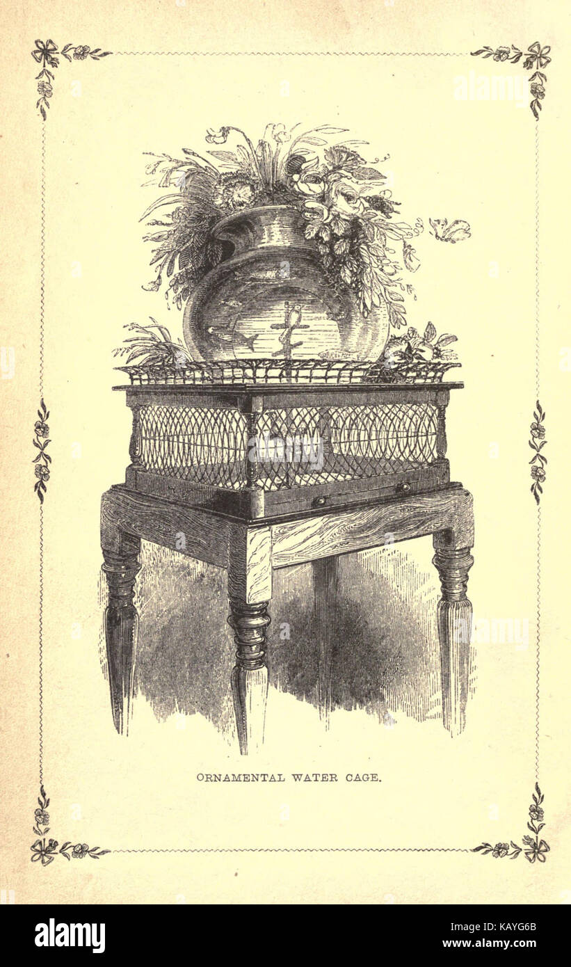 L'histoire naturelle des oiseaux de cage BHL21635844 Banque D'Images