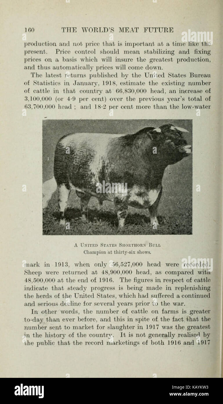 L'avenir de la viande du monde (page 160) BHL24123443 Banque D'Images