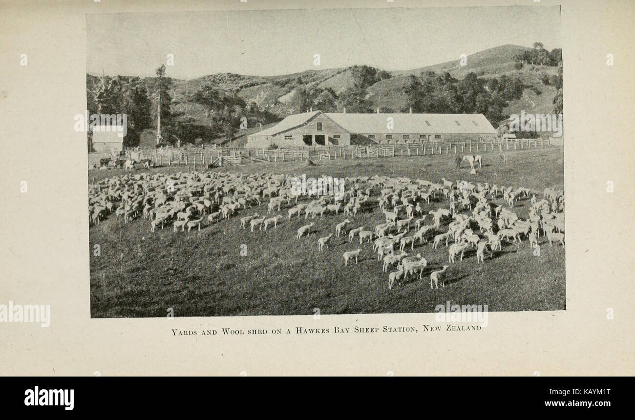 L'avenir de la viande du monde (page 71) BHL24123354 Banque D'Images