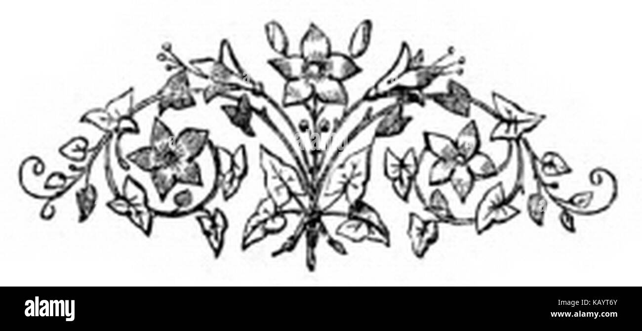 V.5 vi Préface ornate Banque D'Images