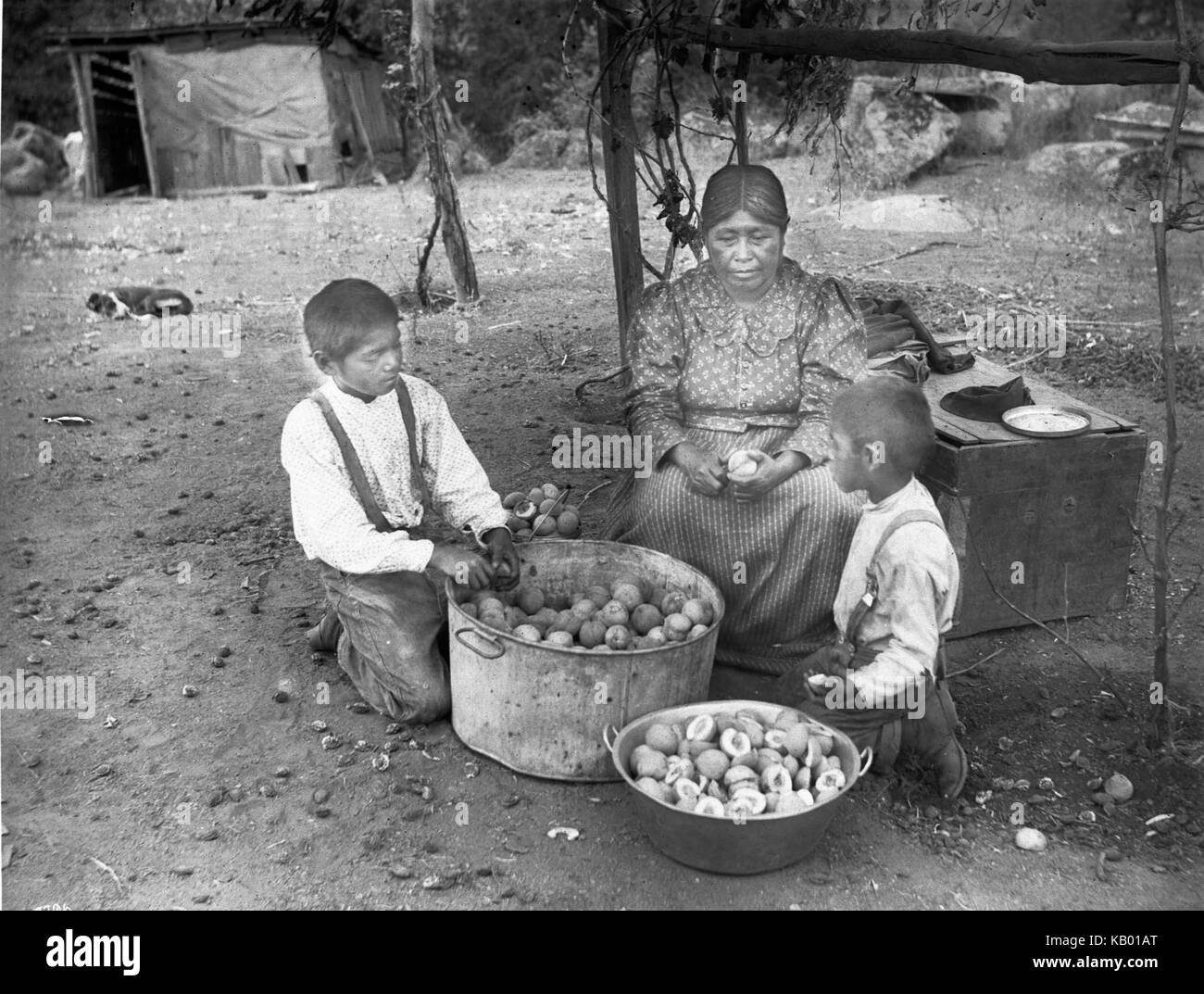 Les femmes et les Indiens Yokut deux garçons la préparation de pêches, Tule River avec réservation gratuite près de la Californie, sans fil, ca.1900 (3796) du SHC Banque D'Images