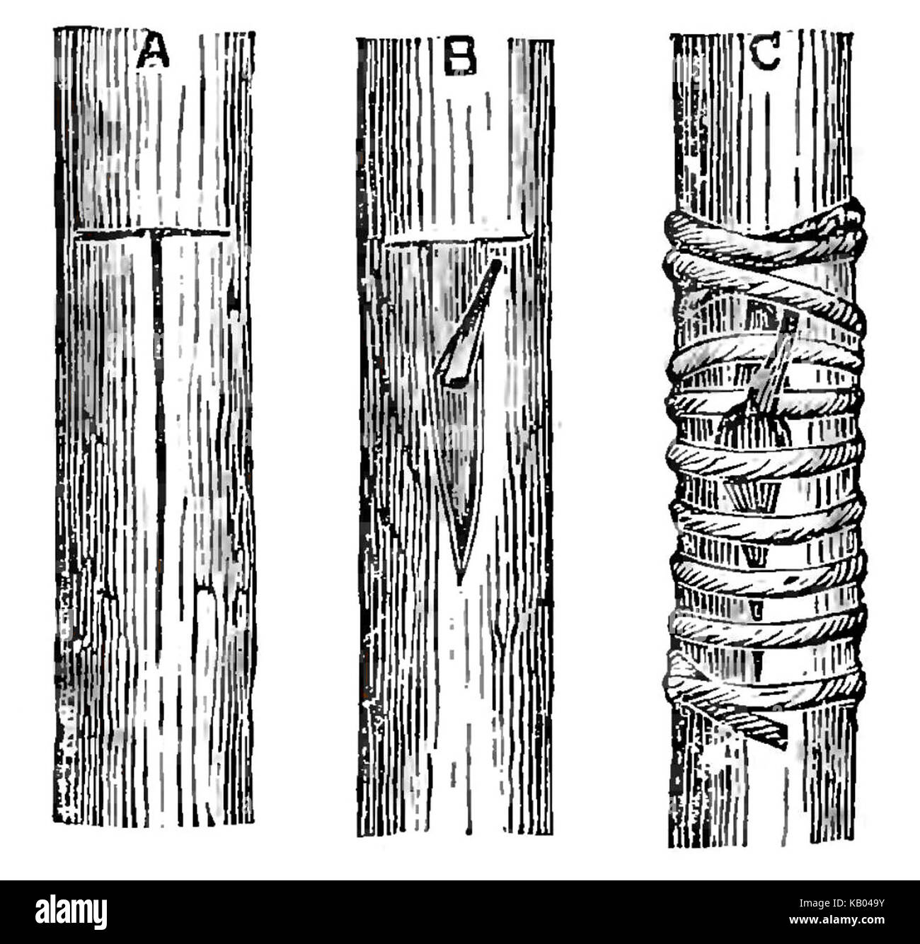 L'Olive de sa culture dans la théorie et la pratique.djvu.p84.img2 Banque D'Images