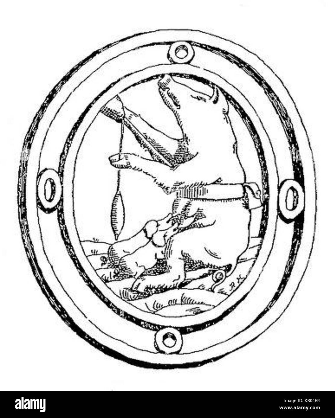 Truie qui file Banque D'Images