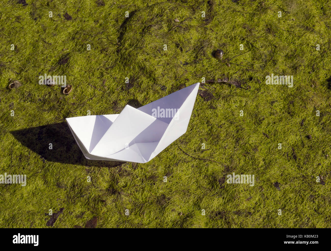 Bateau de papier vert sur la lentille d'eau Banque D'Images