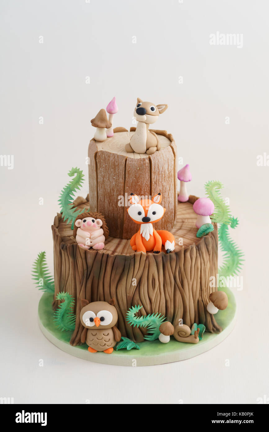 Foret Enchantee Des Forestiers Gateau Fondant Avec Un Herisson Le Cerf L Owl Fox Snail Tronc D Arbre De Fougeres De Champignons Et De Feuilles Sur Fond Blanc Photo Stock Alamy