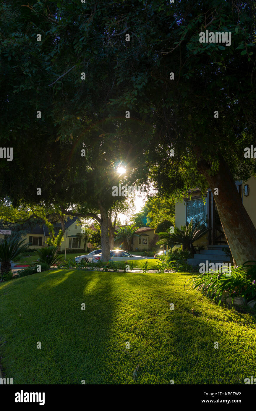 Green paradise Banque D'Images