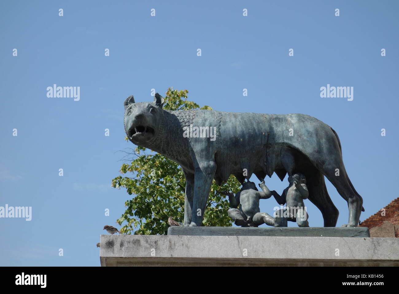 Sculpture de Romulus et Remus boire du lait d'une louve à Cluj Napoca, Roumanie Banque D'Images